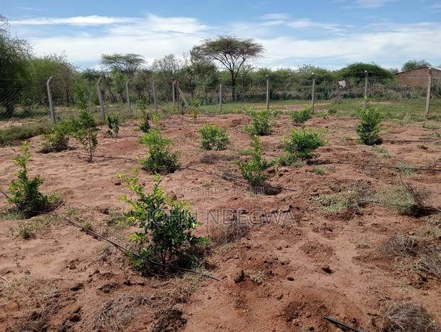 Matuu Prime Plot 100 by 200 - thumbnail 5