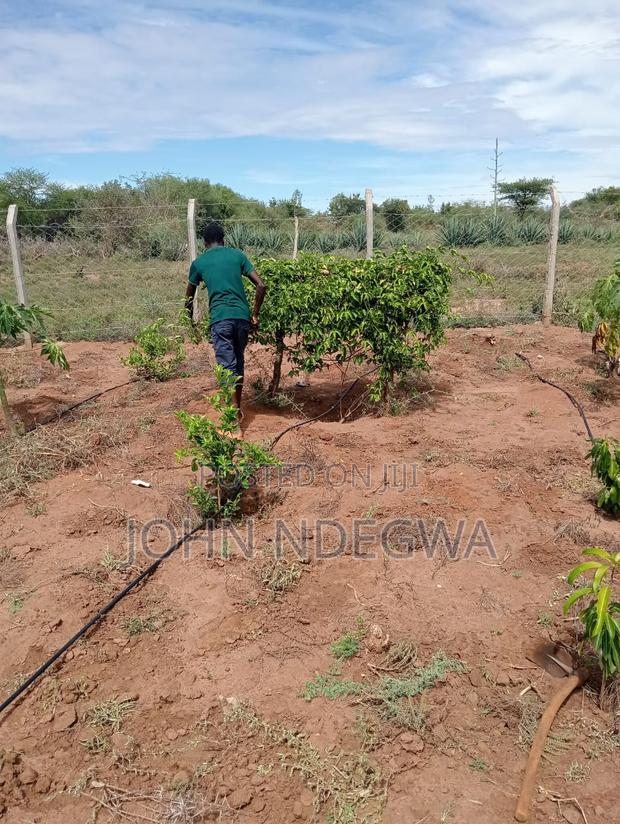 Matuu Prime Plot 100 by 200 - thumbnail 8