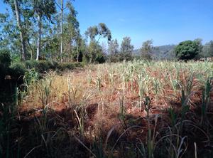 Land in Meru University of Science and Technology - thumbnail 2