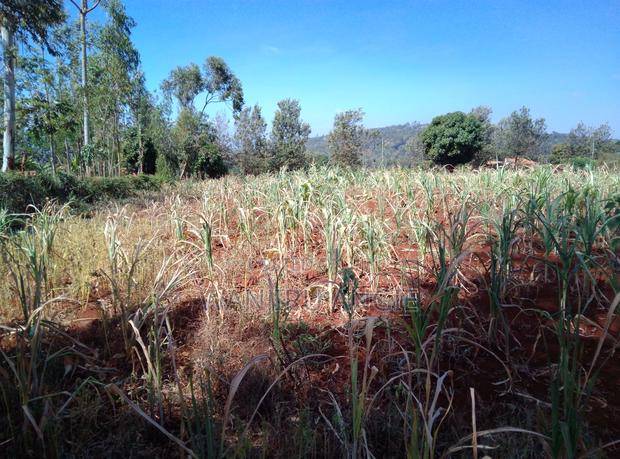 Land in Meru University of Science and Technology - thumbnail 3