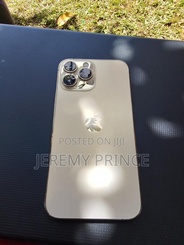 Apple iPhone 13 Pro Max 256 GB Gold - main view