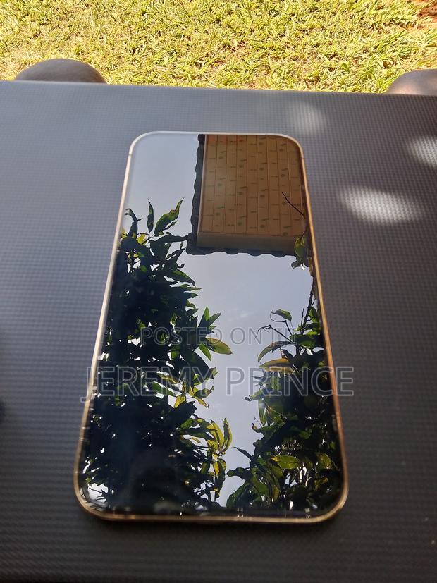 Apple iPhone 13 Pro Max 256 GB Gold - thumbnail 2