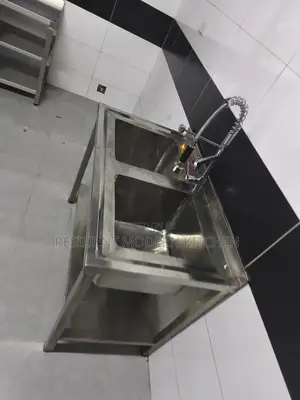 Stainless Steel Double Sink