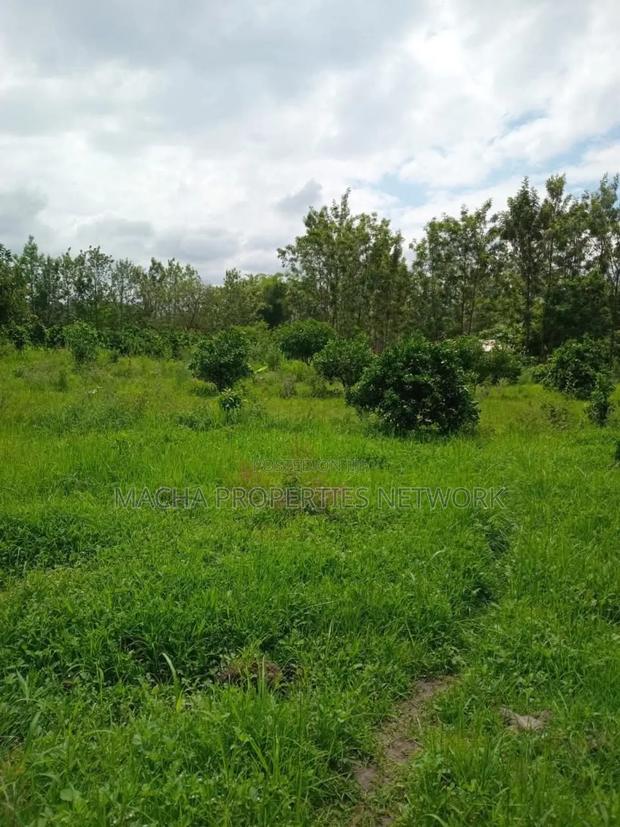 2.5 Acres for Kaumoni- Makueni County