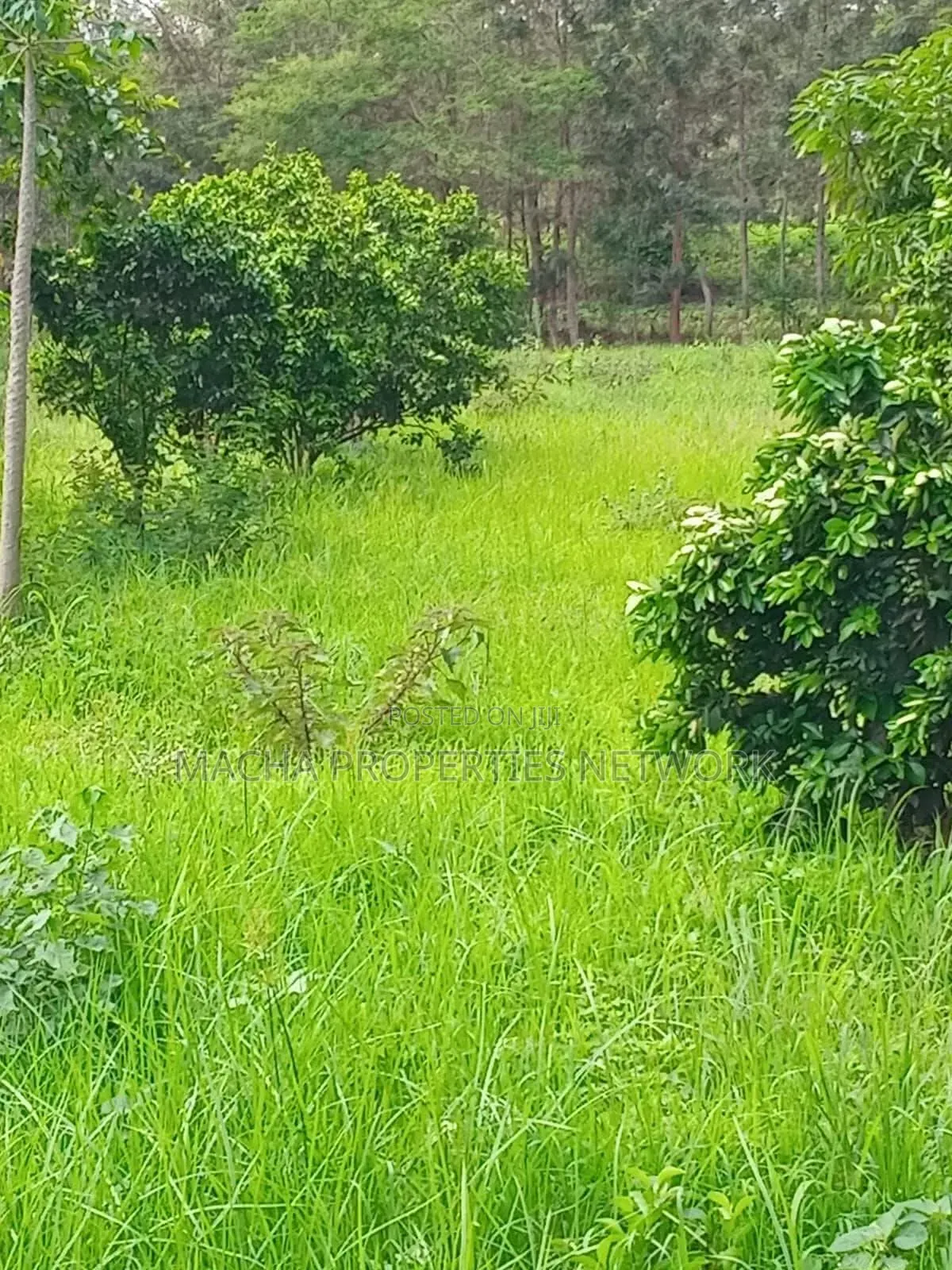 2.5 Acres for Kaumoni- Makueni County