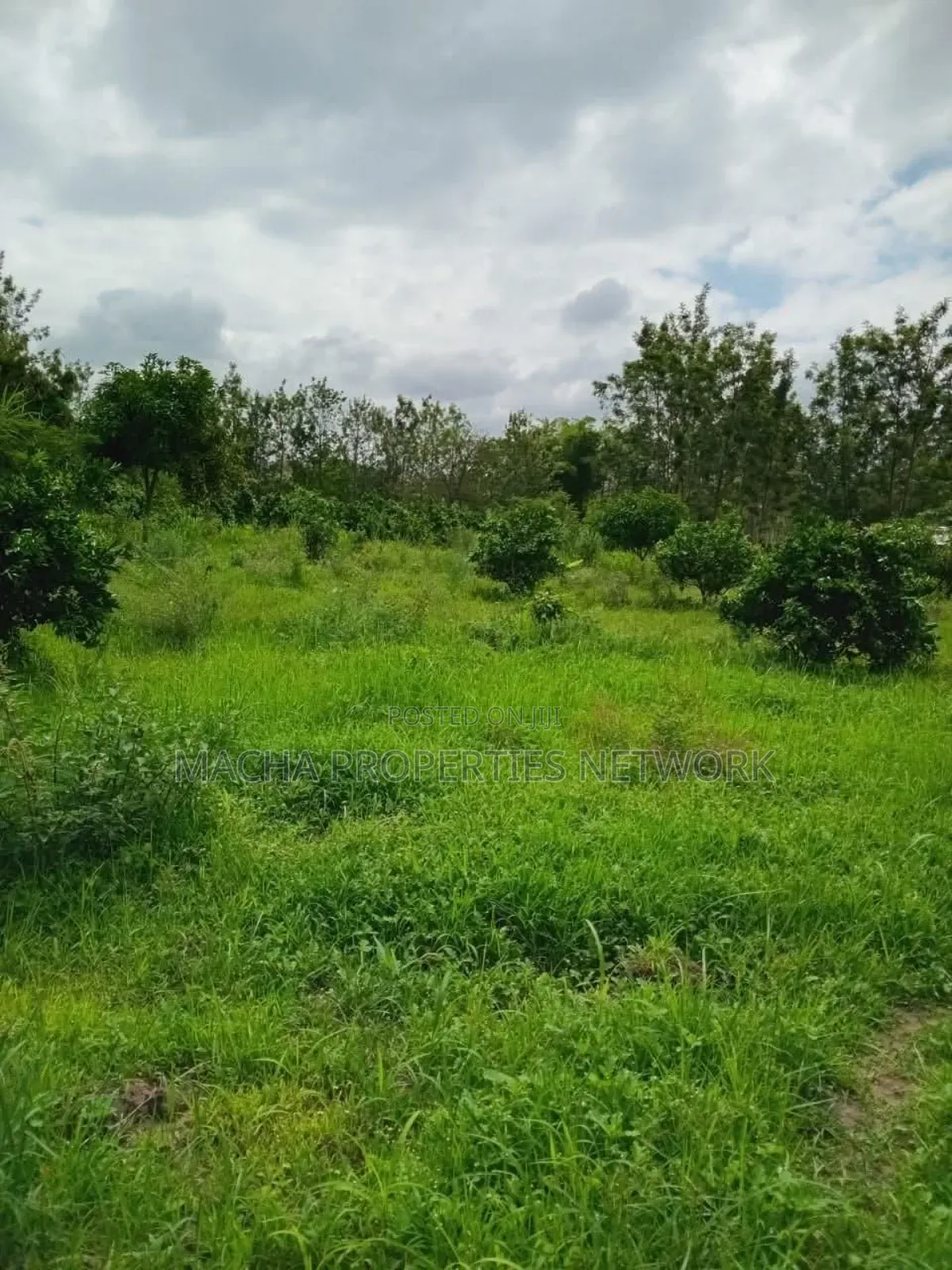 2.5 Acres for Kaumoni- Makueni County