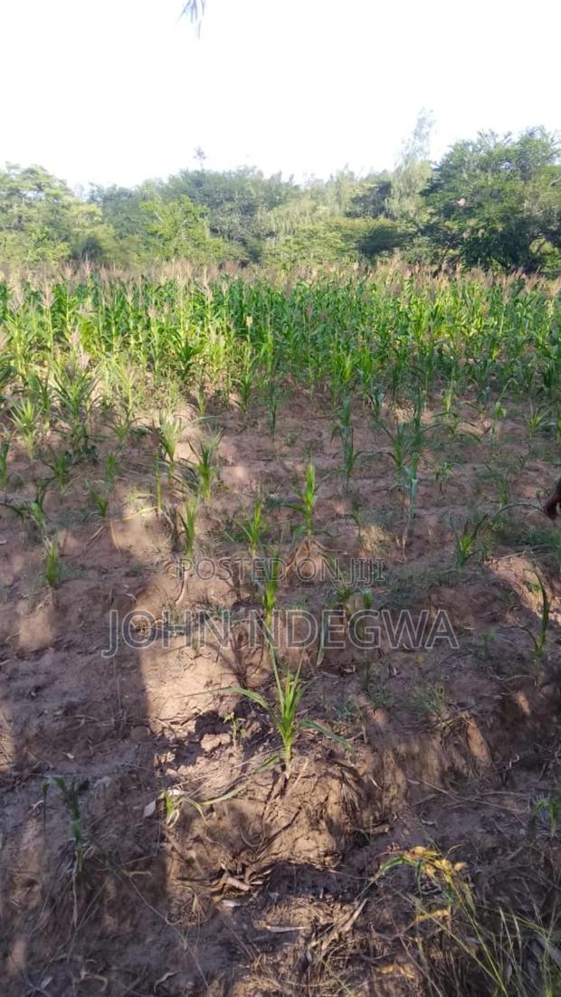 Kenol Makuyu Plot
