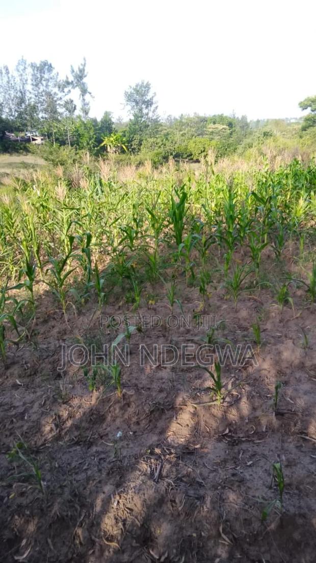 Kenol Makuyu Plot - thumbnail 2
