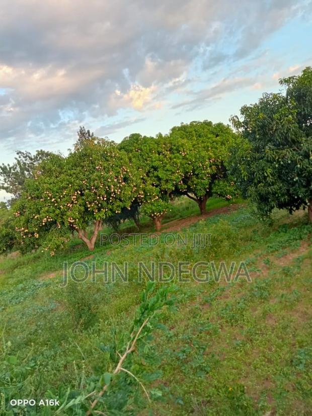 Thika Makuyu Prime Land - main view