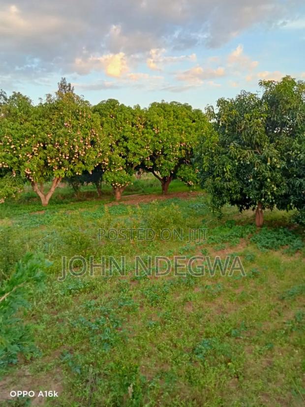 Thika Makuyu Prime Land - thumbnail 2