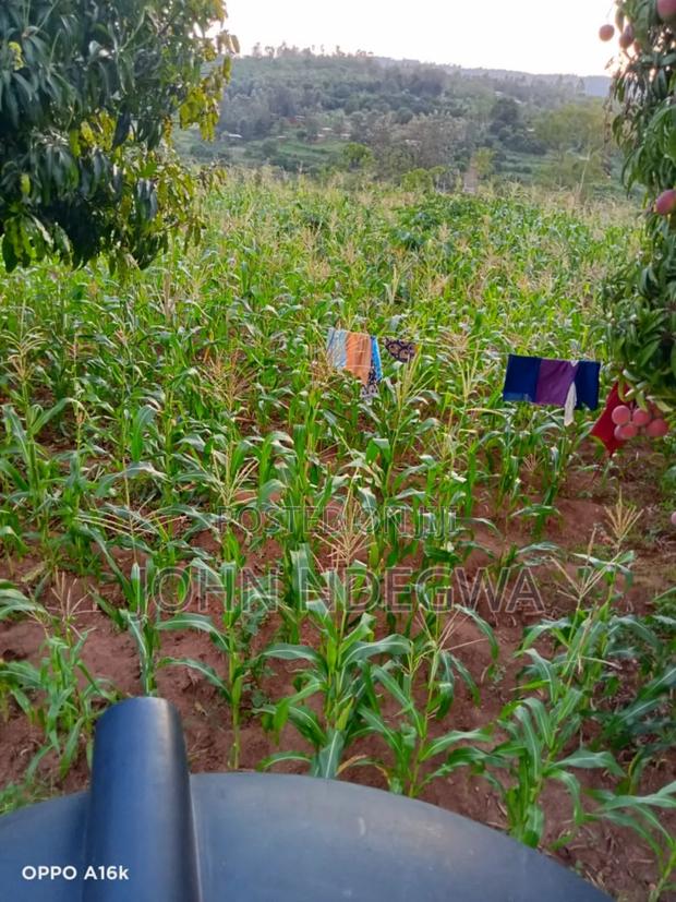 Thika Makuyu Prime Land - thumbnail 3