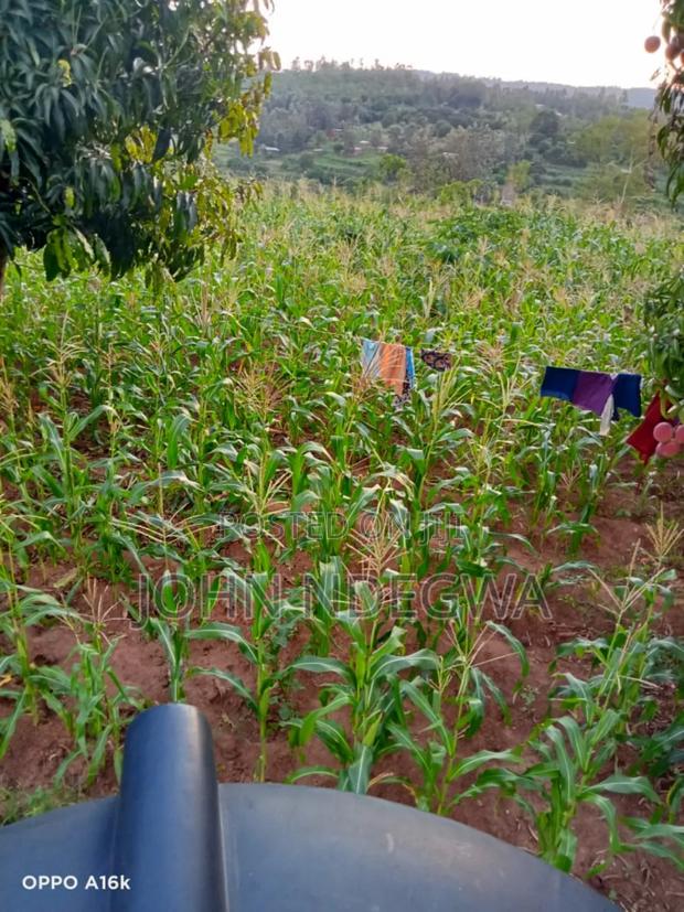 Thika Makuyu Prime Land - thumbnail 4