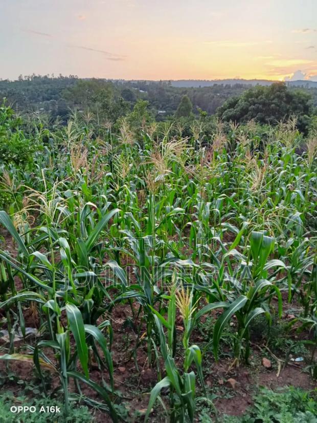 Thika Makuyu Prime Land - thumbnail 5