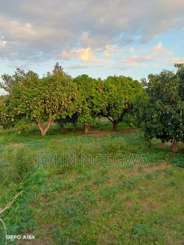 Thika Makuyu Prime Land - thumbnail 6