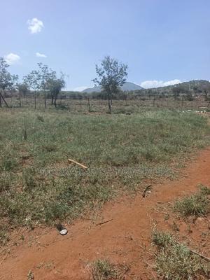 Land for Sell - thumbnail 2