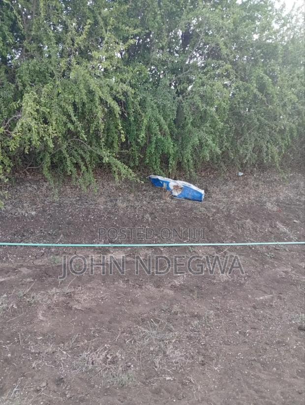 Kamulu Prime Plot - thumbnail 3