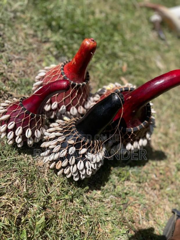 African Shakers - thumbnail 4