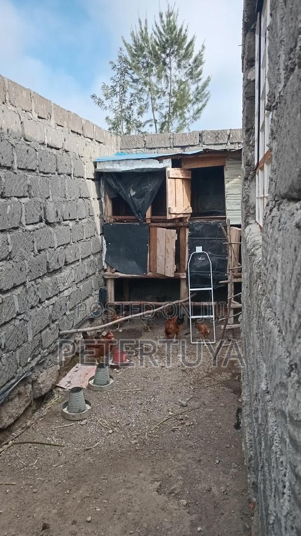 Plot With a House for Sale - thumbnail 7