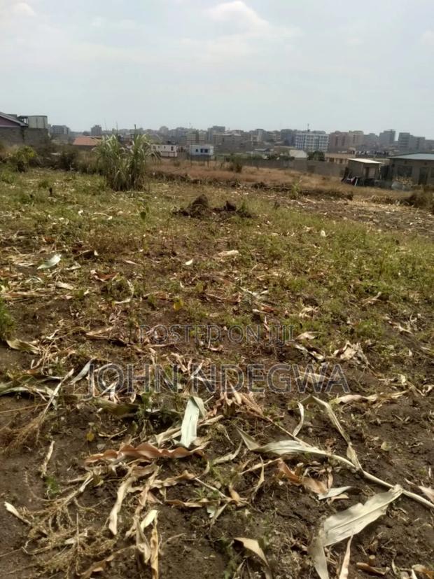 Kibute Witeithie Prime Plot - main view