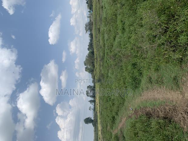 Land for Sale - thumbnail 3