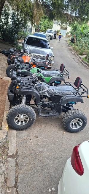 Quadbikes Petrol - main view