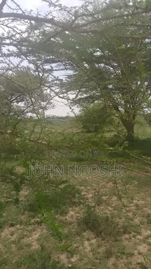 20 Acres Kitengela