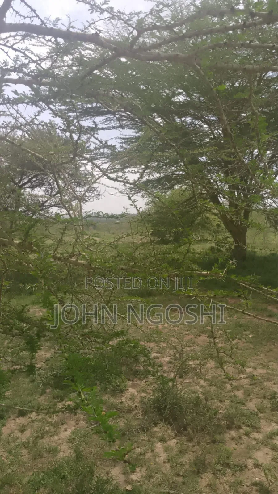 20 Acres Kitengela