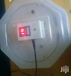 60egg Incubator