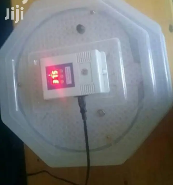 60egg Incubator