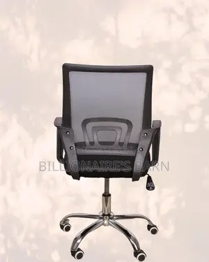 Ergonomic Office Chair — Posture Support, Lumbar Support Built-In