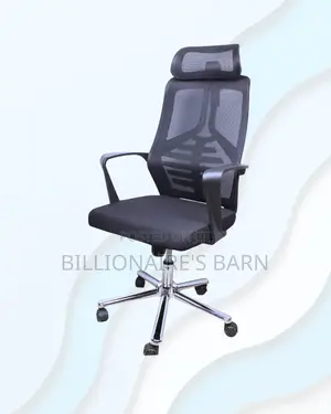 High-Back Mesh Task Chair for Work — Lower-Back Support