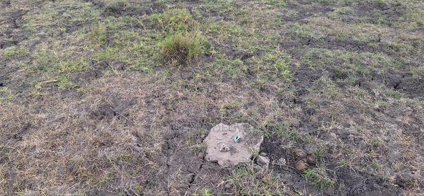 Juja Highpoint Prime Land - thumbnail 9