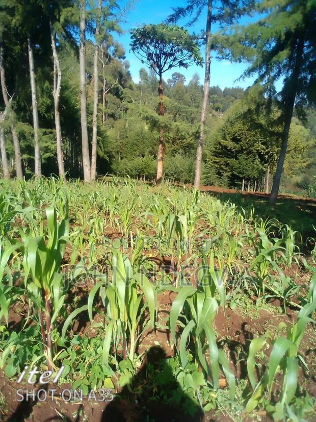 1 Acre Shamata Nyandarua Conty