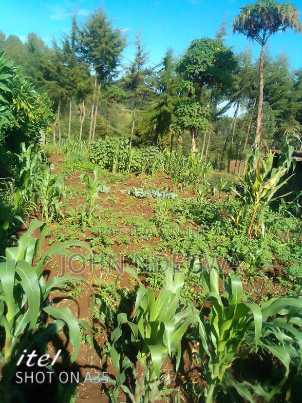 1 Acre Shamata Nyandarua Conty - thumbnail 2