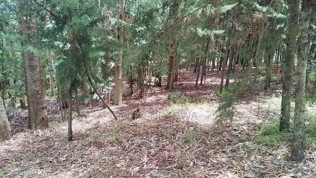1/4 Acre Nyandarua