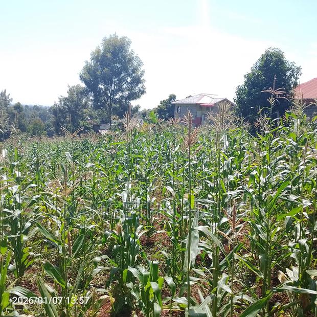 Half Acre At Riabai Kiambu - thumbnail 3