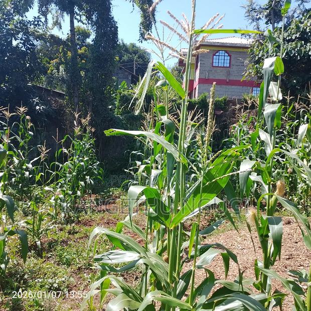 Half Acre At Riabai Kiambu - thumbnail 4