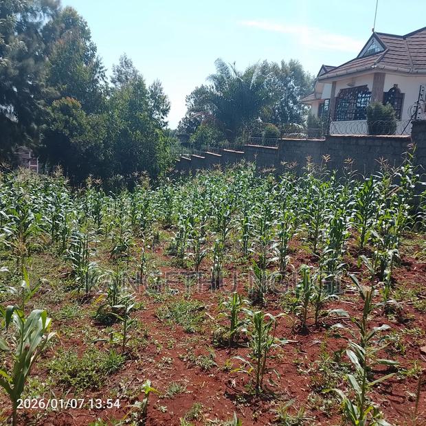 Half Acre At Riabai Kiambu - thumbnail 6