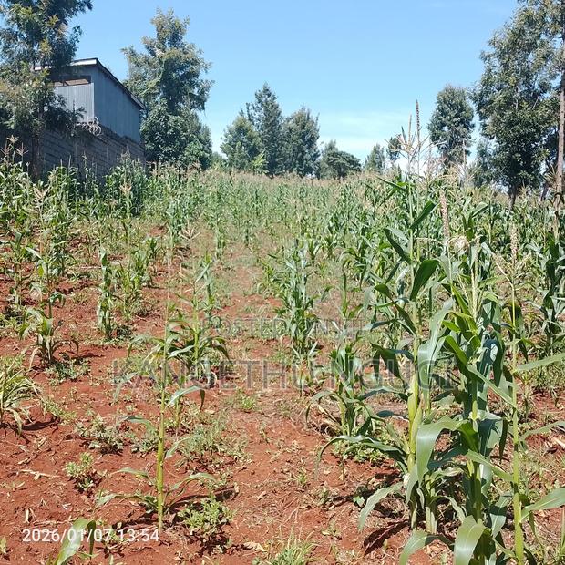 Half Acre At Riabai Kiambu - thumbnail 7