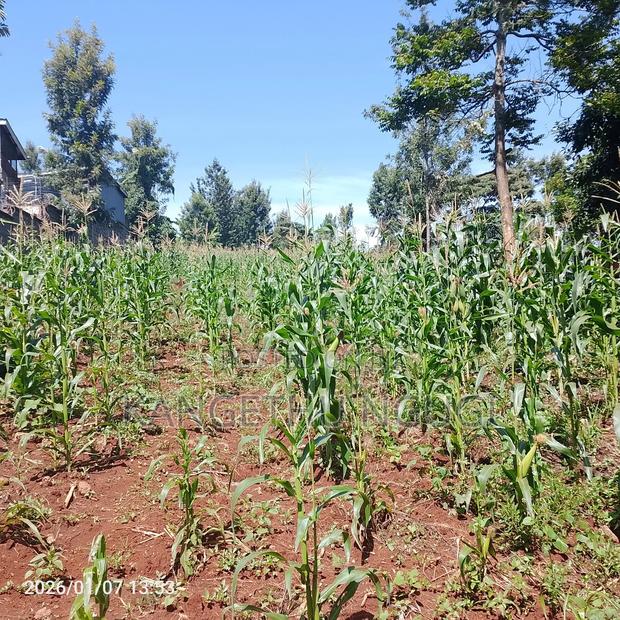 Half Acre At Riabai Kiambu - thumbnail 8