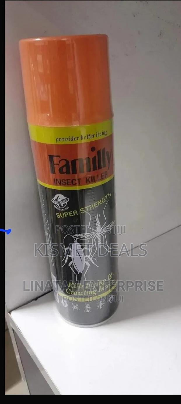 Family Insecticide Killer - main view
