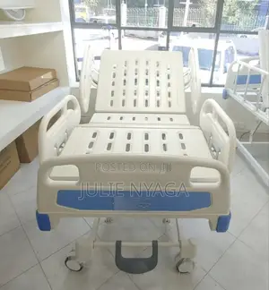 3 Crank Abs Electric Bed