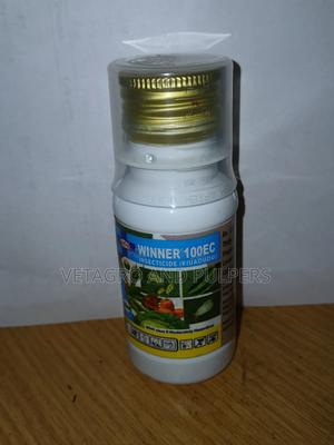 Winner 100ec - thumbnail 2