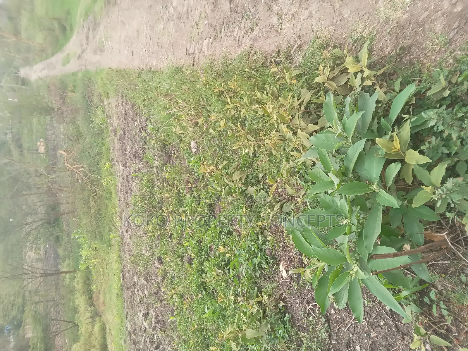 9 Acres for Sale _ Mahi Mahiu, Mirera.