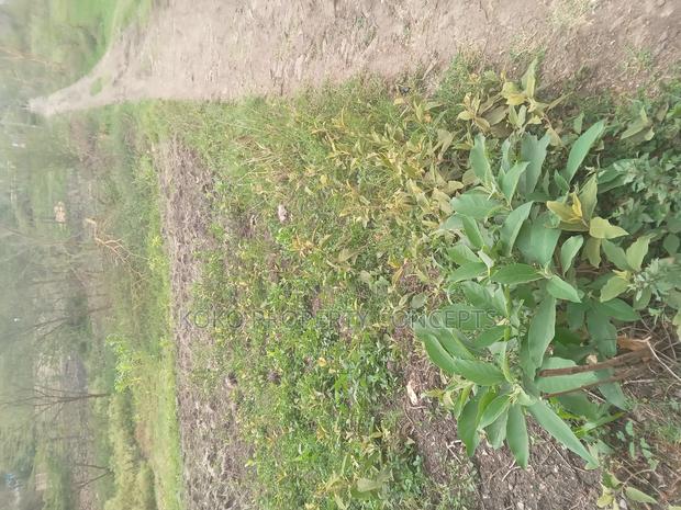 9 Acres for Sale _ Mahi Mahiu, Mirera.