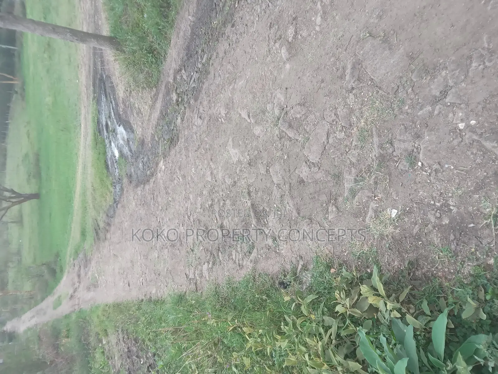 9 Acres for Sale _ Mahi Mahiu, Mirera.