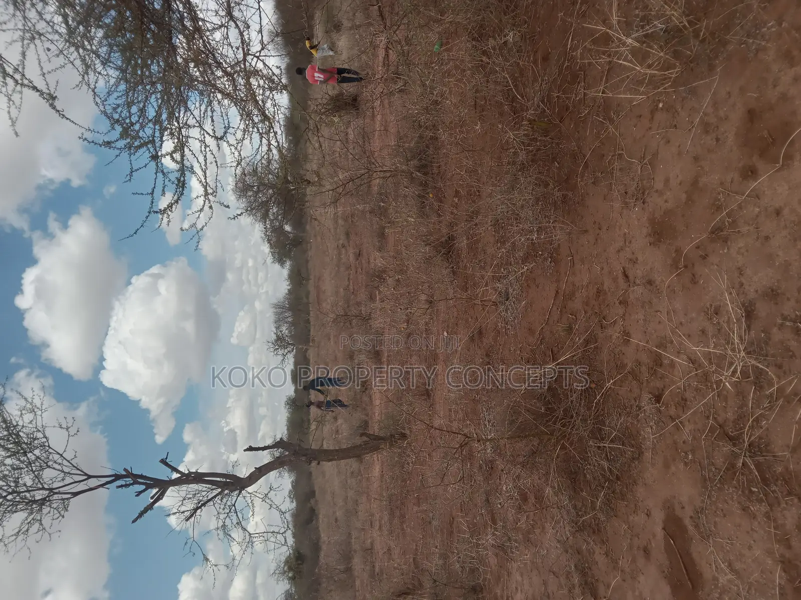 9 Acres for Sale _ Mahi Mahiu, Mirera.