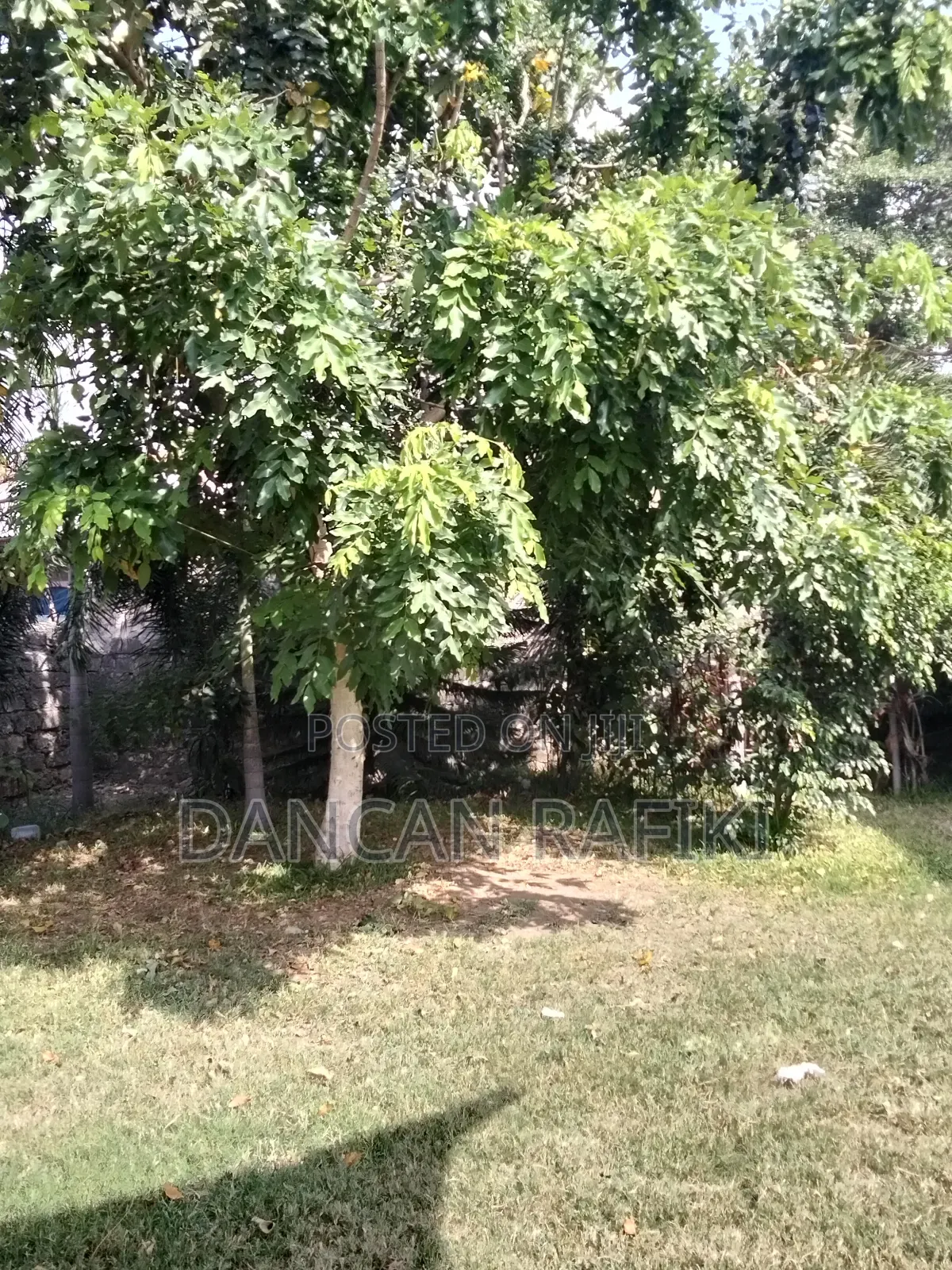 Lovely Event Garden/Center