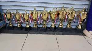 High Quality Metallic Trophies