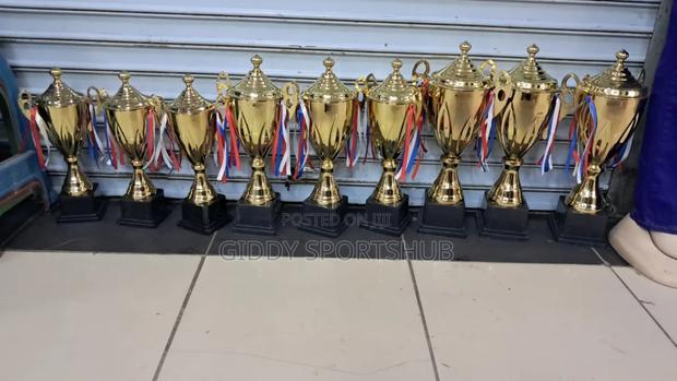 High Quality Metallic Trophies